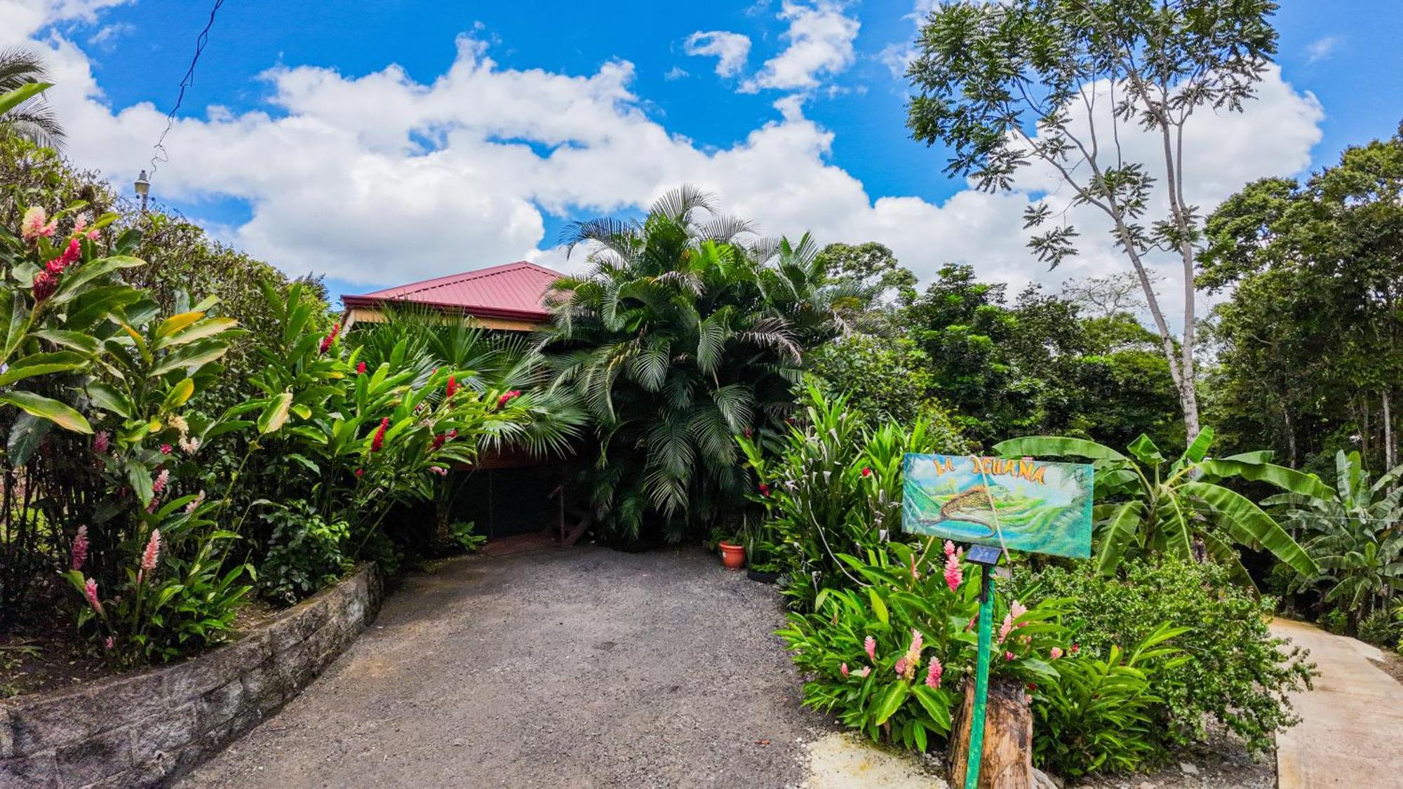 Bungalows Las Iguanas Arenal Volcano ラ・フォルトゥナ エクステリア 写真